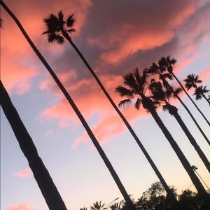 Meet your Posher, Jas